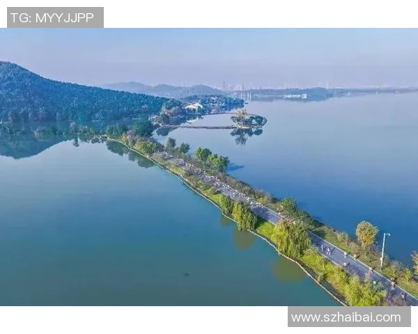 山水画中感触“最美赛道” 2025池州马拉松热情开跑